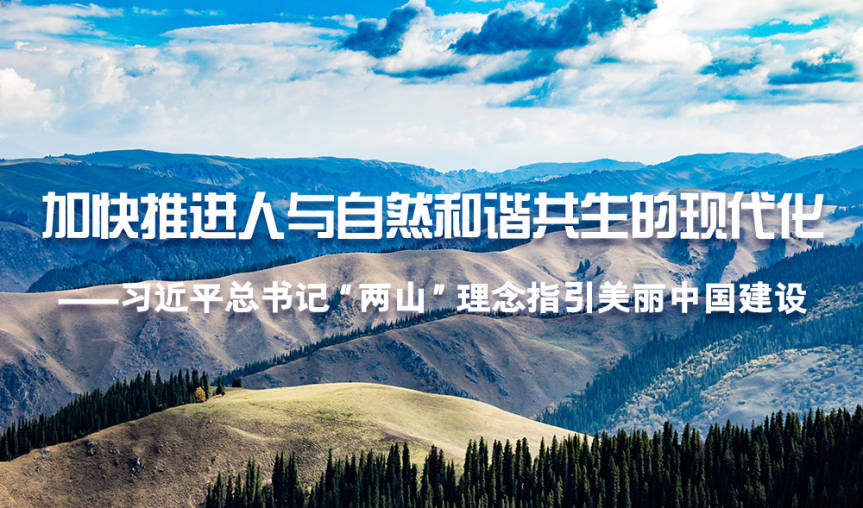 新闻动态（1000x589）.jpg