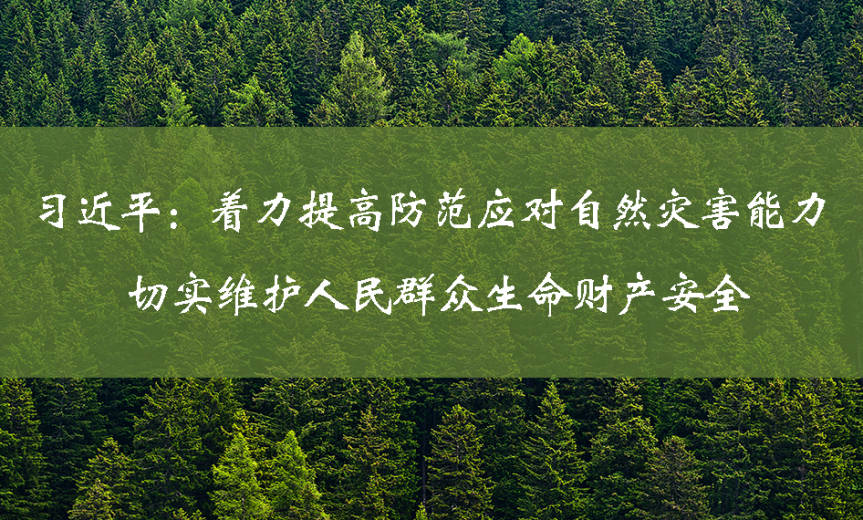 新闻动态（946x570）.jpg