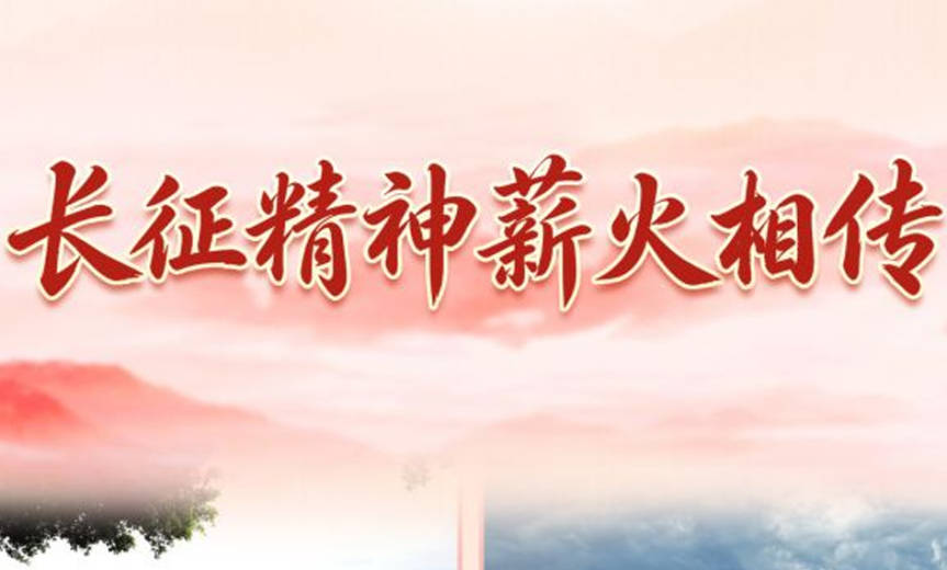 新闻动态（946x570）.jpg